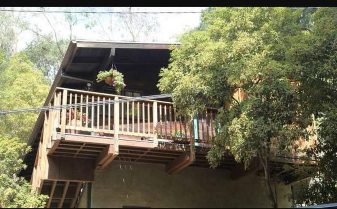 Tree House Main image 1